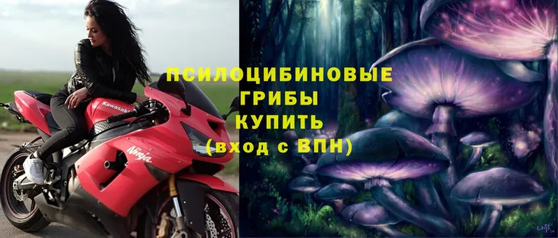 Галлюциногенные грибы Magic Shrooms  как найти закладки  Ленинск-Кузнецкий 